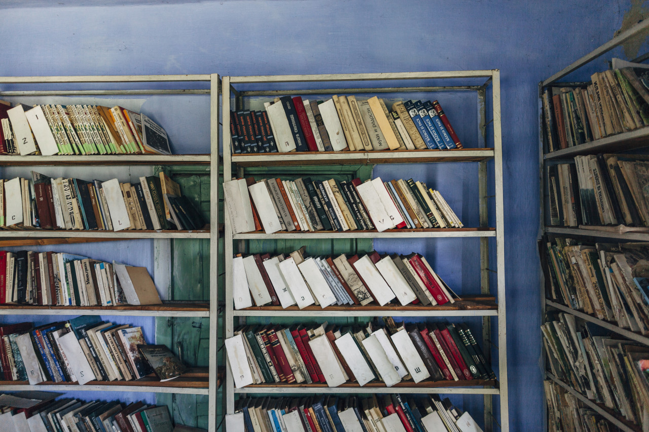 Schinoasa's library.