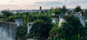 Jewish Cemetery of Edinet.